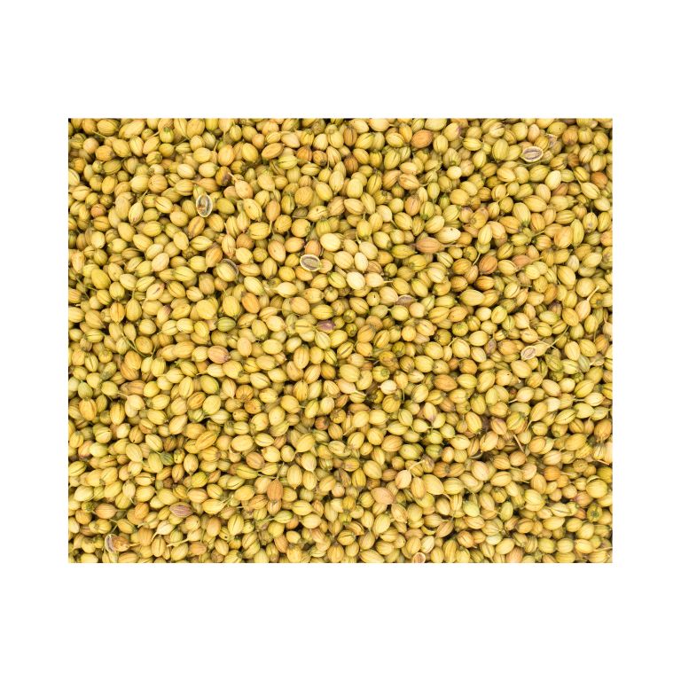 Coriander Seeds (Dhaniya)